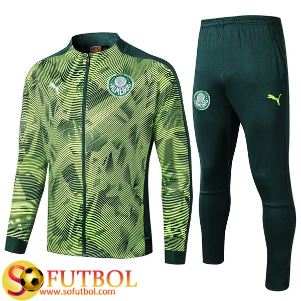 Chandal Futbol Palmeiras Verde 2019/20 / Chaqueta y Pantalon Entrenamiento