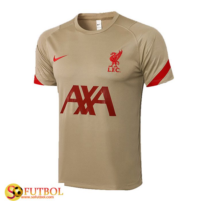 Camiseta Entrenamiento FC Liverpool Brun 2021/2022