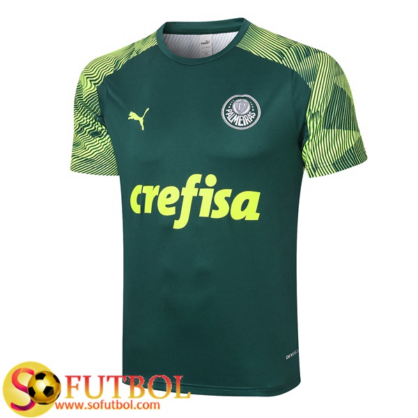 Camisetas entrenamiento Palmeiras Verde 2020/2021
