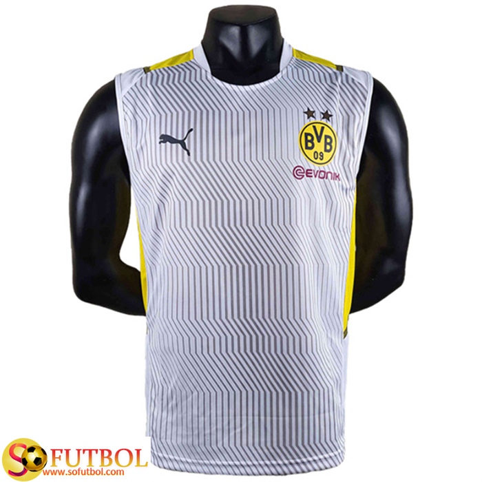 Camiseta Entrenamiento sin mangas Dortmund Gris 2022/2023