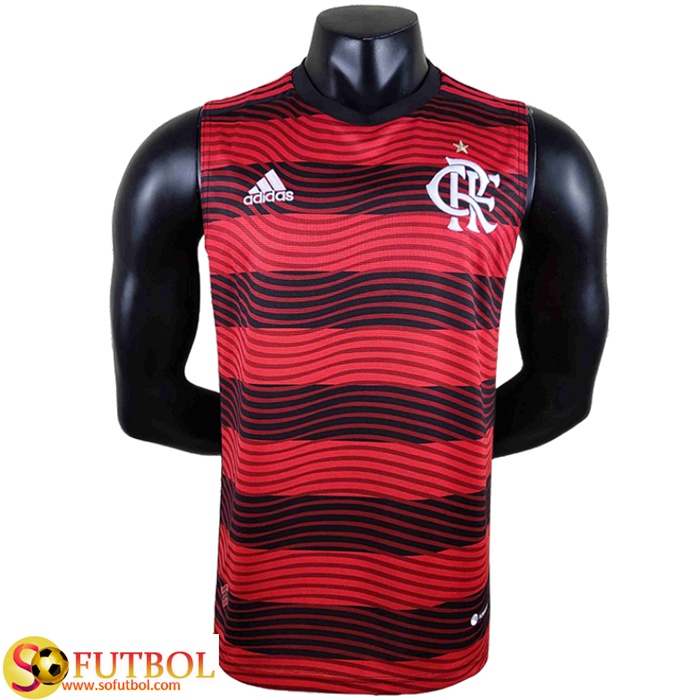 Camisetas De Futbol Flamengo Gilet 2022/2023